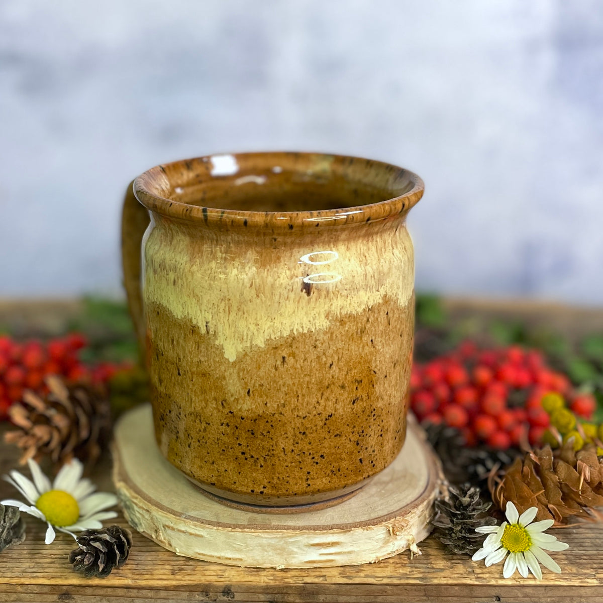 38. 17oz. Autumn Chickadee Mug