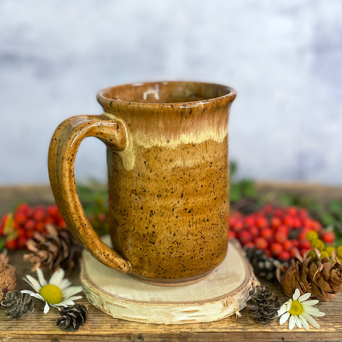48. 17oz. Loon Mug